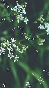 Maybe you would like to learn more about one of these? Mayday Beltane Free Hd Phone Wallpaper Edyth Press The Perfect Freebie For Your Ip Iphone Photography Wallpaper Tumblr Lockscreen Beauty Iphone Wallpaper
