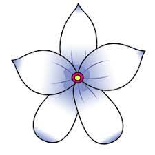 Of course, the most important part of the site is the kate hadfield free goodies page, which does offer some really cute coloring pages for kids (or adults!), along with some cute free printables like bag toppers, bookmarks and party decorations. Jasmine Flower Drawing Flower Drawing Flower Drawing Tutorials Flower Sketches