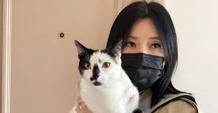 Sharon Au Has Quit Her Director Position in Paris After Her House Got  Burgled