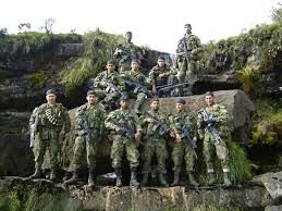 Los afectados actuaron obligados por disidencias de las farc, que los obligaron a realizar la asonada contra la fuerza pública. Ejercito De Colombia Home Facebook