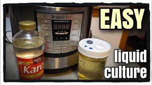 The liquid culture is a liquid mix of nutrients that will help the mycelium to grow healthy prior to inoculation. Instant Pot To Sterilize Liquid Culture Youtube