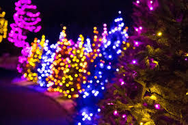 The bars in park city utah will make you forget your name, get warm, cool down after a busy day and honor a dog that deserves it all. Salt Lake City Holiday Events Festivals