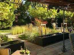 Jorg Kaspari Landschaftsarchitekt Arkadenband Aus Dachplatanen Lenkt Den Blick Uber Bluten In Die Weite Des Parks Dachplatane Garten Landschaftsarchitekt