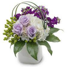 Jackson, ms listings and reviews. Fu2n0chngkdzdm