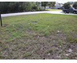 hole in lawn near septic tank. diy