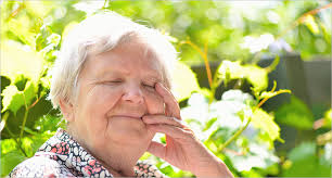 Dementia care and support