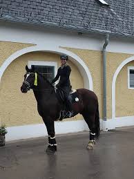 Each channel is tied to its source and may differ in quality, speed. Working Equitation Turnier Und Pferdezentrum Stadl Paura Facebook