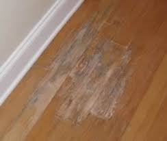 When they don't, the important thing is to catch regrowth as soon as possible so that you can take care of it quickly. Keeping Your Wood Floors Clean Mold Prevention And Mold Detection Woodfloordoctor Com