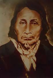 Nellie Root's Instagram, Twitter & Facebook