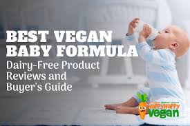 Best Vegan Baby Formula Dairy Free Product Reviews 2019