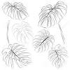 Printable palm leaf outline : 1