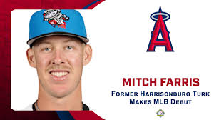 Steve Cox, Author at Valley League Baseball