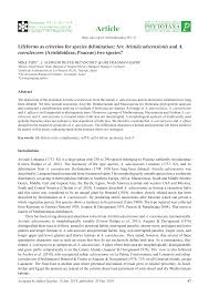 Image result for Aristida rhiniochloa