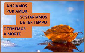 Will smith, keira knightley, kate winslet and others. Beleza Oculta Filme Frases De Filmes Imagens Frases Citacoes De Filmes