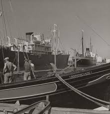 Annaba Bone Port Marins Et Bateau A Quai Paquebots 1950 Vers