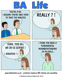 Ba Life Misunderstood Business Analyst Business Solutions Business Analysis