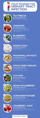 Learn About These Effective Home Remedies For Uti Home Remedies For Uti Home Remedies For Uti Infection Home R Uti Remedies Herbal Remedies Natural Remedies