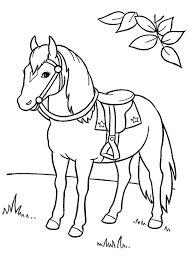 Het paard is een gedomesticeerd hoefdier uit de orde der. Kleurplaat Paard Leukekleurplaten Nl