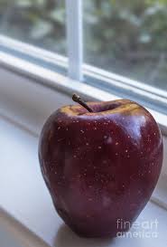 Deep Red Apple by Arlene Carmel wholesale