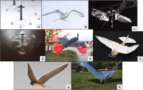 Check spelling or type a new query. Decoding And Realising Flapping Flight With Port Hamiltonian System Theory Sciencedirect