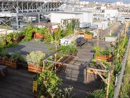 Topager L Expert Des Toits Verts Oui Le Magazine De La Ruche Qui Dit Oui Toit Vert Terrasse Toit Toit