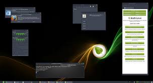 Welcome Bodhi Linux