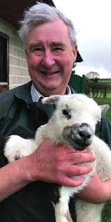 ULIV Alumni 2020.indd