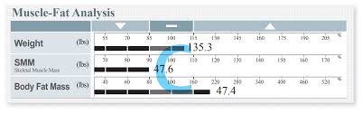 Understand The Inbody Result Sheet Inbody Usa