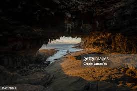 245 Adelaide Brooks Stock Photos, High-Res Pictures, and Images