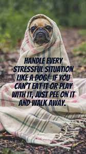 20 Free Dog Wallpapers I Phone And Android 20 Hd Sized Homescreen Wallpaper Dog Pictures Cute Dog Wallpaper Dog Wallpaper Dog Phone