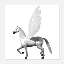 712 98 pferde pferd köpfe. Pegasus Pferd Fliegendes Pferd Pferd Mit Flugel Poster Spreadshirt