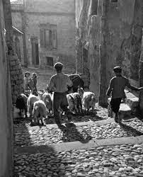 Clasicos 17 Fosco Maraini Italia Italian Photography Agrigento Vintage Photographs