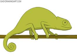 How To Draw A Chameleon Easy Easy Drawing Art Drawings Easy Drawings Cartoon Styles