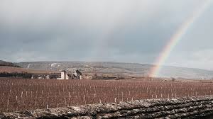 Burgundy With A Bit Of Age 2000 2014 May 2019 Vinous