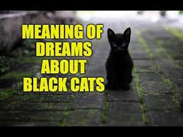What Does Black Cat Mean In A Dream Dreams About Black Cat Youtube