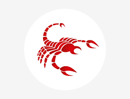 Als würde, dass man niemanden sonst irriterend wirken. Tageshoroskop Skorpion Fur Heute Astrowoche