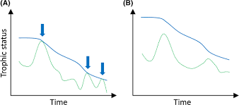 Serin gel nedir, serin gel ne demek. European Large Perialpine Lakes Under Anthropogenic Pressures And Climate Change Present Status Research Gaps And Future Challenges Springerlink