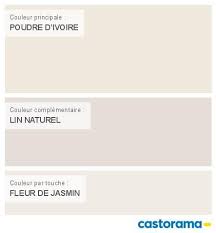 Peinture Poudre D Ivoire Dulux Valentine Nuancier Peinture Peinture Lin Couleurs De Peinture D Interieur