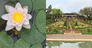 Fort Worth Botanic Japanese Garden Is Reopening June 1 Here S Everything You Need To Know Metroplex Social