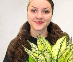 Interior Horticulture Team Archives