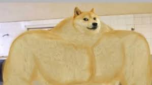 Dogecoin is likely to pick up from late 2019 as people are realizing it's worth and they are getting over it being a mere crypto joke. Will Doge Ever Hit 1000
