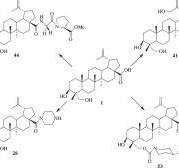 Synthesis and antiproliferative evaluation of 23 ...