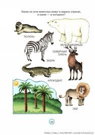 животные жарких стран занятие для детей 2 3 лет 25 494x700 173kb Prirodovedenie Doshkolnik Zhivotnye