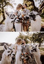 15 Coole Ideen Fur Ein After Wedding Shooting Hochzeitsfotos Hochzeit Bilder Und Lustige Hochzeitsfotos