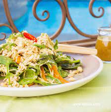 Thermomix Recipe Chicken Salad With Vietnamese Dressing Tenina Com Recipe Thermomix Recipes Salad Recipes For Dinner Chicken Recipes Thermomix