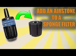 This is an air stone i made from a small plastic container, microfiber cloth, and remnants of a drip irrigation system. How To Add An Air Stone To A Sponge Filter 2019 Youtube Sponge Airstone Filters