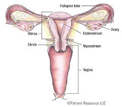 Go here to discover how experts are eliminating however… whether you're trying to avoid cancer or beat it if you've got it, there is one very powerful. Patient Resource Publishing Uterine Cancer Overview