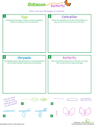 Draw The Life Cycle Of A Butterfly Worksheet Education Com Butterfly Lesson Plans Butterfly Lessons Butterfly Life Cycle Lesson Plan