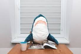 Image Result For Shark Ikea Mrachnye Fotografii Akula Fotografii