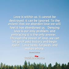 Love Is Within Us It Cannot Be Destroyed It Can Be Ignored Idlehearts